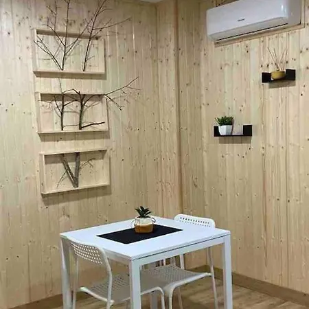 Rustico T1 No Centro