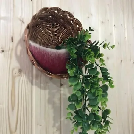 Rustico T1 No Centro * Guarda