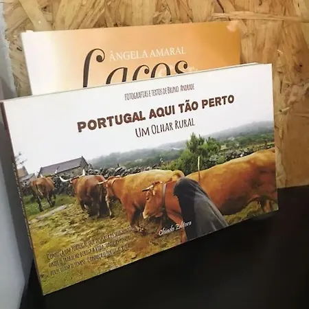 Rustico T1 No Centro Lejlighed *