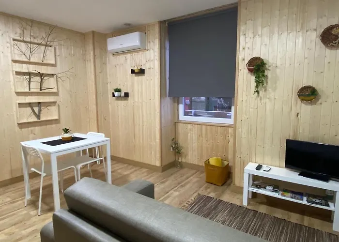 Apartment Rustico T1 No Centro *