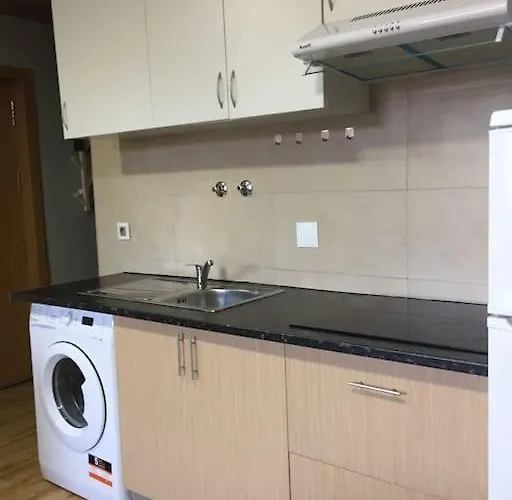 Rustico T1 No Centro