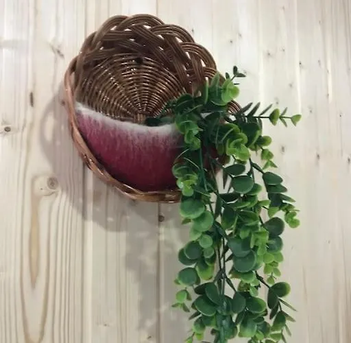 Rustico T1 No Centro * Guarda