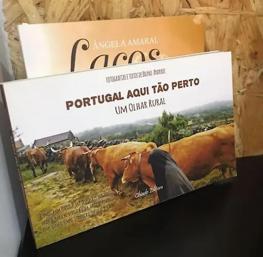 Rustico T1 No Centro Appartamento *